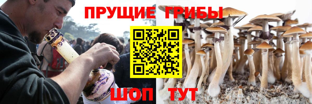 Псилоцибиновые грибы Psilocybe  наркошоп  Вход с VPN  Кубинка  Галлюциногенные грибы Psilocybine cubensis 